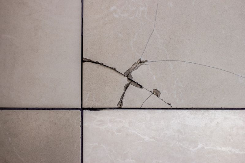 Damaged Tile Repair